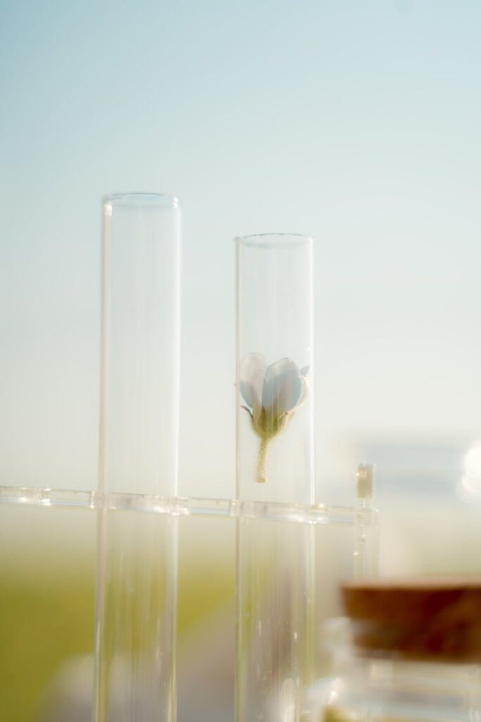 pexels-photo-10534006 Close-up of a flower in a test tube with a soft, natural background. Perfect for scientific and botanical themes.